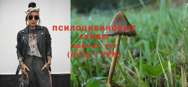 мяу мяу мука Балабаново